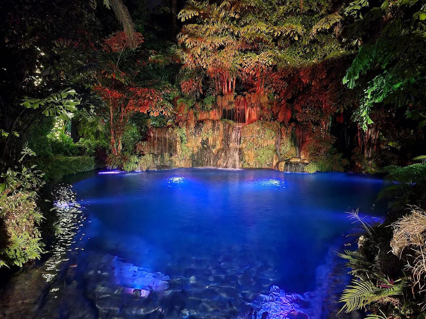 Secret Gardens Miami garden setting